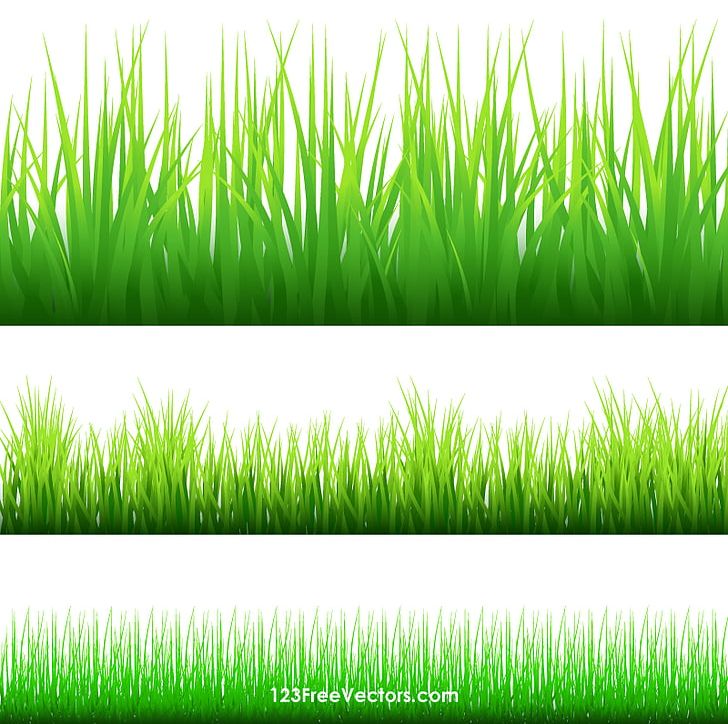 Computer Wallpaper Grass Lawn PNG, Clipart, Adobe Illustrator, Chrysopogon Zizanioides, Cliparts Grass Border, Commodity, Computer Wallpaper Free PNG Download