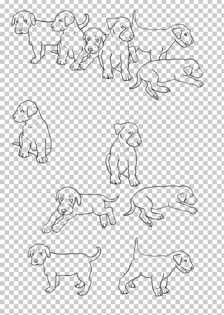 Airedale Terrier Australian Terrier Sketch Line Art PNG, Clipart, Angle, Area, Arm, Art, Art Museum Free PNG Download