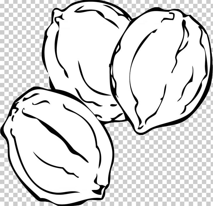 Coloring Book Nut Drawing Pistachio PNG, Clipart, Acorn, Artwork, Black, Black And White, Cashew Free PNG Download