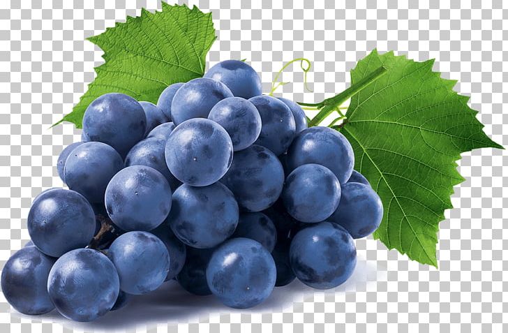 Common Grape Vine Isabella Stock Photography PNG, Clipart, Berry, Bilberry, Blueberry, Common Grape Vine, Currant Free PNG Download