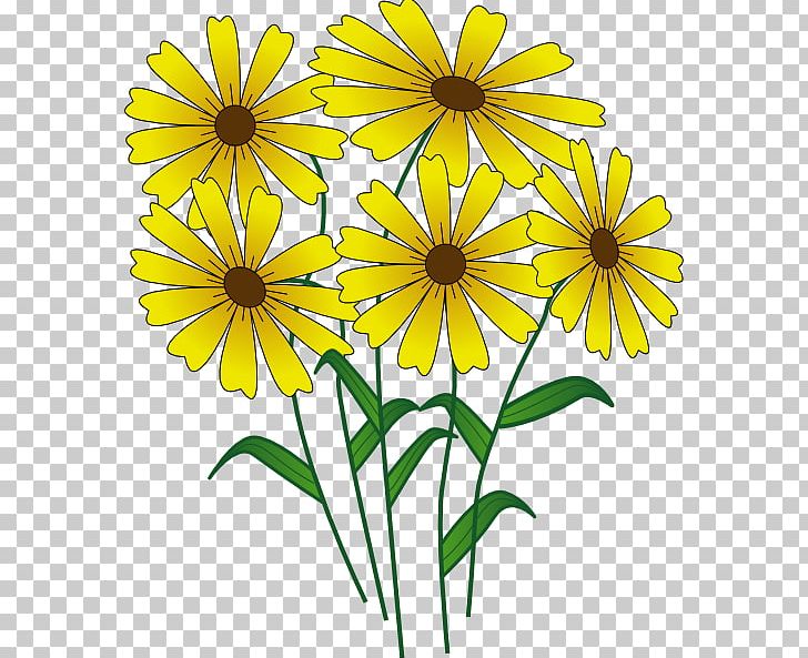 Flower Free Content Spring PNG, Clipart, Black And White, Blog, Chrysanths, Cut Flowers, Daisy Free PNG Download