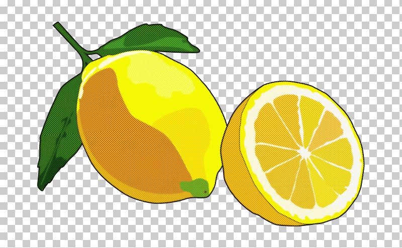 Orange PNG, Clipart, Bitter Orange, Citric Acid, Citron, Citrus Fruit, Grapefruit Free PNG Download