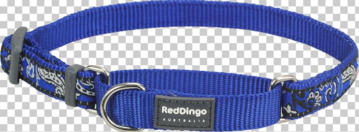 Dingo Fence Dog Collar Cat PNG, Clipart, Blue, Brown, Cat, Cobalt Blue, Collar Free PNG Download