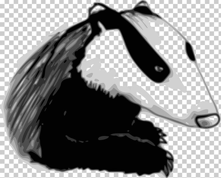 European Badger Drawing PNG, Clipart, Black, Carnivoran, Desktop Wallpaper, Drawing, European Badger Free PNG Download