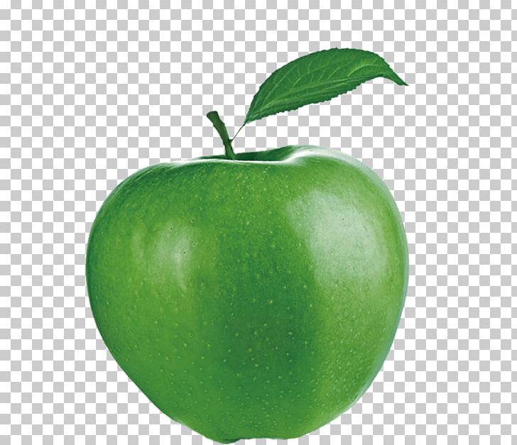 Granny Smith Apple PNG, Clipart, Adobe Illustrator, Apple, Apple Fruit, Apple Logo, Auglis Free PNG Download