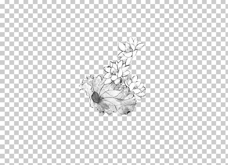 Nelumbo Nucifera Drawing PNG, Clipart, Arrow, Black And White, Body Jewelry, Border Sketch, Designer Free PNG Download