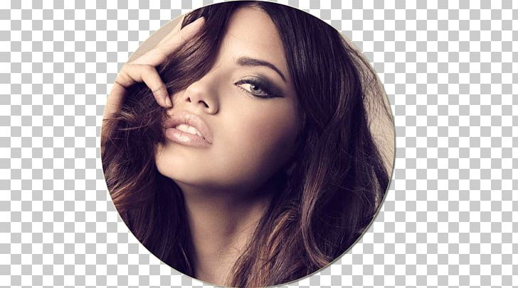Adriana Lima Model Desktop High-definition Television 1080p PNG, Clipart,  Free PNG Download