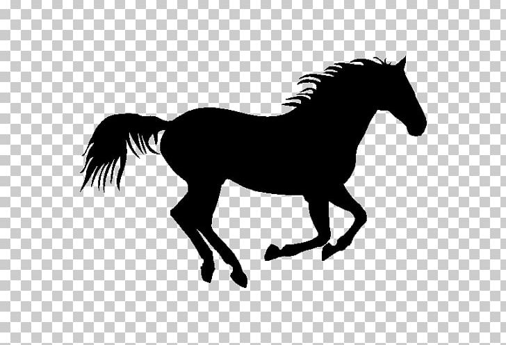 American Quarter Horse Pony Foal Wall Decal PNG, Clipart, Black And White, Bridle, Canter And Gallop, Colt, Horse Free PNG Download