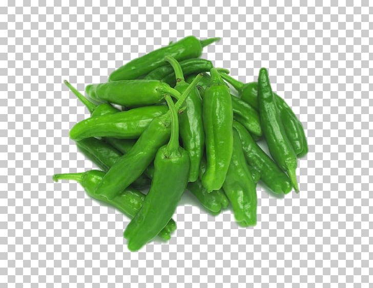 Bell Pepper Padrxf3n Peppers Vegetable Food Paprika Oleoresin PNG, Clipart, Bell Pepper, Cayenne Pepper, Chili Pepper, Edamame, Food Free PNG Download