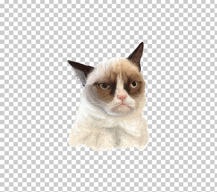 Whiskers Grumpy Cat Domestic Short-haired Cat Felidae PNG, Clipart, Animals, Boo, Carnivoran, Cat, Cat Like Mammal Free PNG Download