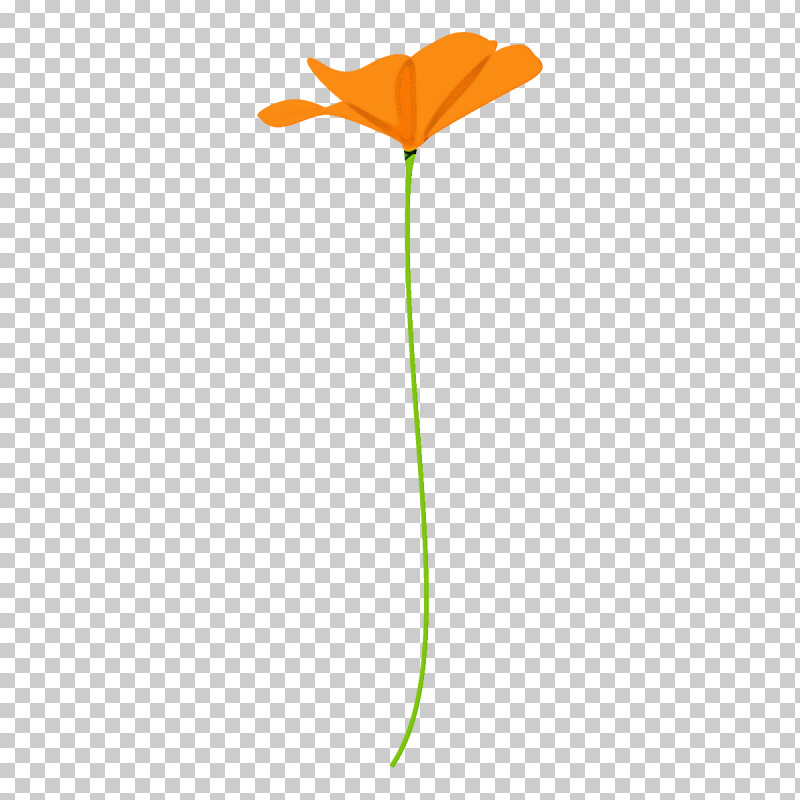Poppy Flower PNG, Clipart, Flower, Leaf, Orange, Pedicel, Plant Free PNG Download