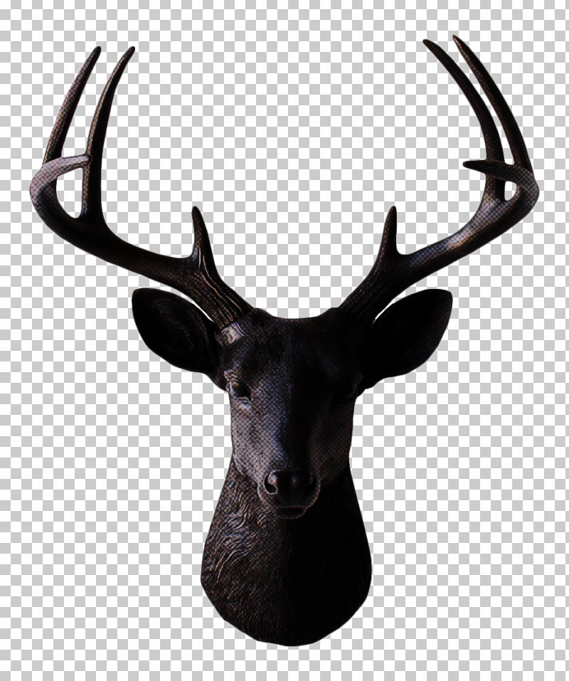 Reindeer PNG, Clipart, Antler, Deer, Elk, Horn, Reindeer Free PNG Download