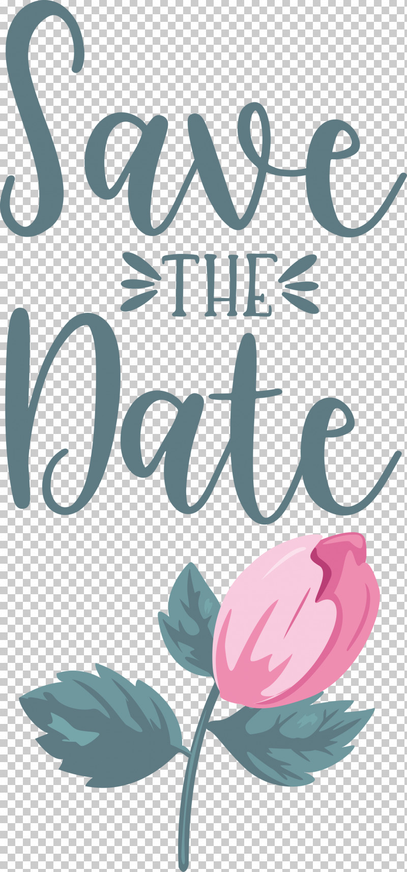 Save The Date Wedding PNG, Clipart, Biology, Floral Design, Flower, Happiness, Meter Free PNG Download