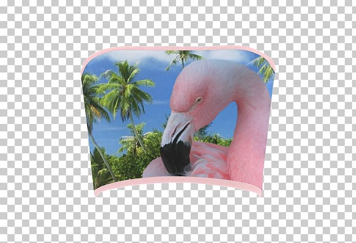 Flamingos Fauna Pink M Beak Sound PNG, Clipart, Beach, Beak, Bird, Fauna, Flamingo Free PNG Download