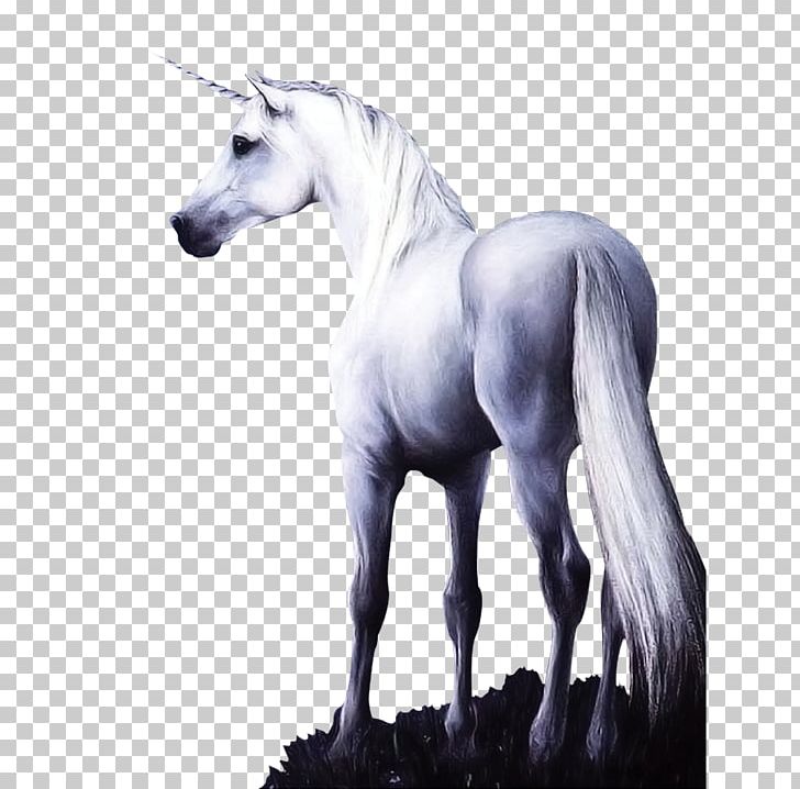 Horse Unicorn PNG, Clipart, Black And White, Display Resolution, Download, Fictional Character, Gray Free PNG Download