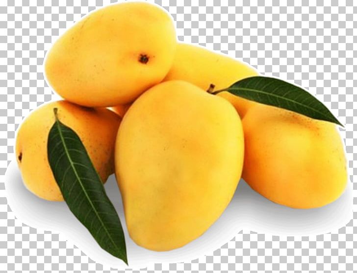India Mango Alphonso Fruit Mangifera Indica PNG, Clipart, Alphonso, Apricot, Benishan, Bitter Orange, Chaunsa Free PNG Download