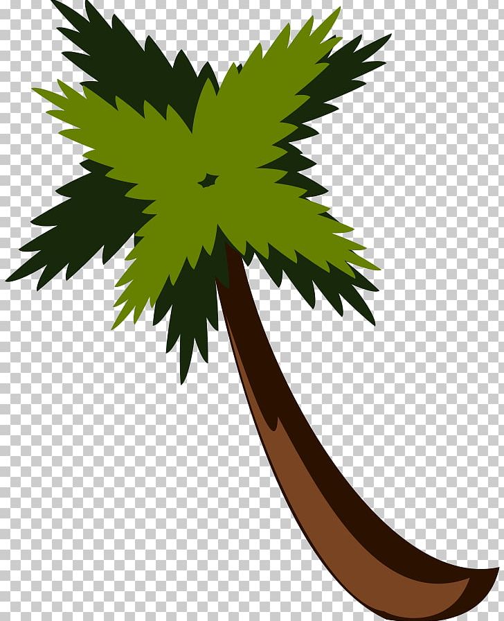 Arecaceae Free Content PNG, Clipart, Arecaceae, Branch, Coconut, Encapsulated Postscript, Flower Free PNG Download