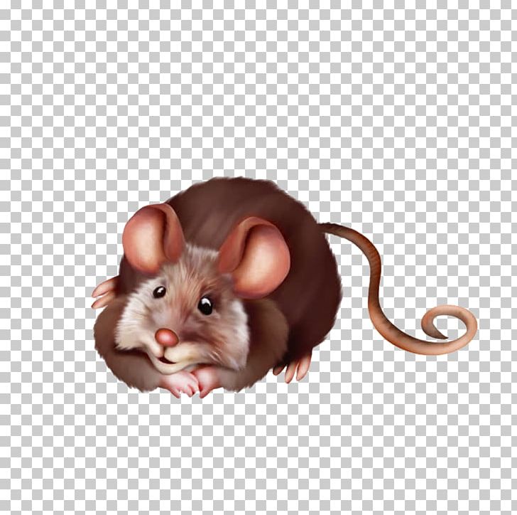 Computer Mouse Muis Krysa PNG, Clipart, Animal, Animals, Animation, Balloon Cartoon, Cartoon Free PNG Download