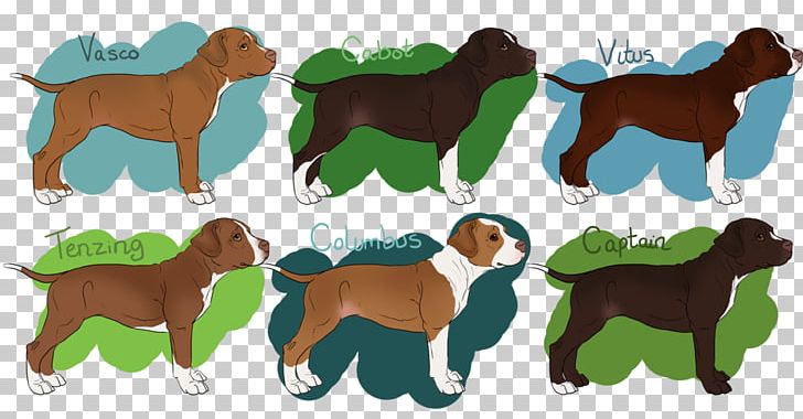 Dog Breed Boykin Spaniel Puppy Boykin PNG, Clipart, Animals, Boykin Spaniel, Breed, Carnivoran, Crossbreed Free PNG Download