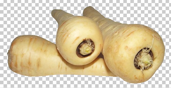 Parsnip Carrot Root Vegetables Turnip PNG, Clipart, Carrot, Daikon, Food, Fruit, Ingredient Free PNG Download