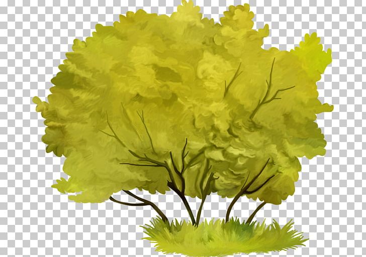 Branch Tree PNG, Clipart, 2016, Agac Resimleri, Arama, Branch, Cari Free PNG Download