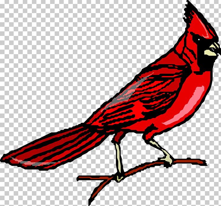 Songbird Northern Cardinal PNG, Clipart, Animal, Animals, Art, Artwork, Beak Free PNG Download