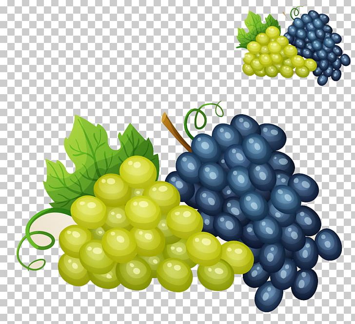 Wine Grape Illustration PNG, Clipart, Drawing, Drink, Flower Bunch, Food, Fruit Free PNG Download