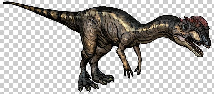 Dilophosaurus Tyrannosaurus Dinosaur Ceratosaurus Megalosaurus PNG, Clipart, Baryonyx, Ceratosaurus, Coelophysis, Compsognathus, Dilophosaurus Free PNG Download