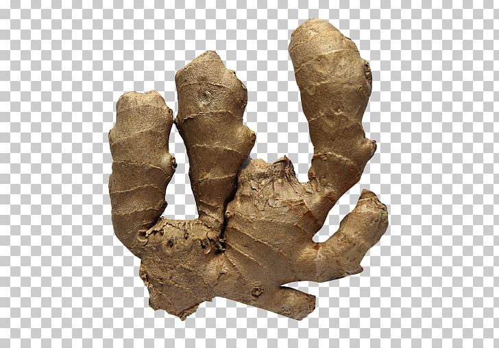Food Ginger PNG, Clipart, Artifact, Austral Pacific Energy Png Limited, Download, Drink, Fat Free PNG Download