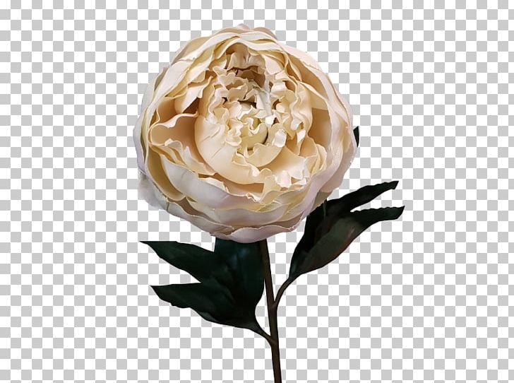 Garden Roses Cut Flowers Artificial Flower Centifolia Roses PNG, Clipart, Artificial Flower, Bark, Centifolia Roses, Cut Flowers, Floristry Free PNG Download