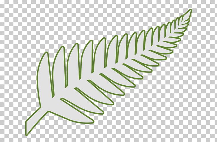 New Zealand Leaf Silver Fern Plant PNG, Clipart, Botany, Drawing, Fern, Frond, Grass Free PNG Download