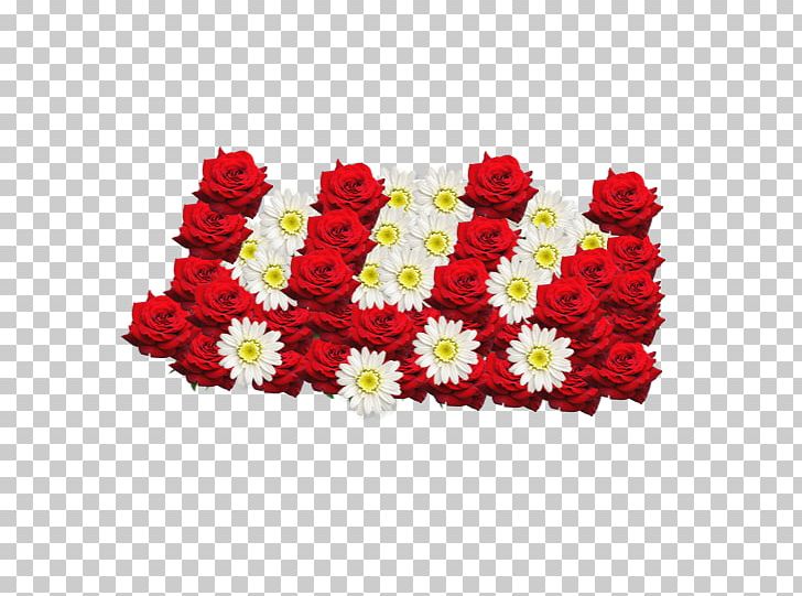 Transvaal Daisy Floral Design Cut Flowers Chrysanthemum PNG, Clipart, Chrysanthemum, Chrysanths, Cut Flowers, Daisy Family, Floral Design Free PNG Download