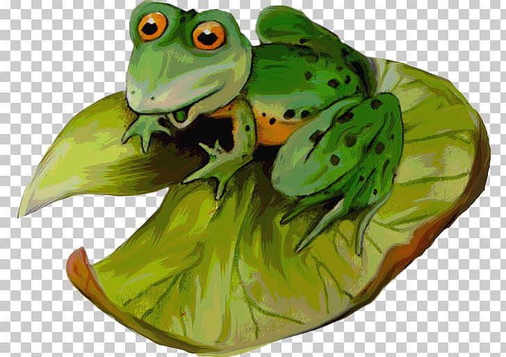 True Frog PNG, Clipart, Amphibian, Animals, Cartoon, Character, Computer Software Free PNG Download