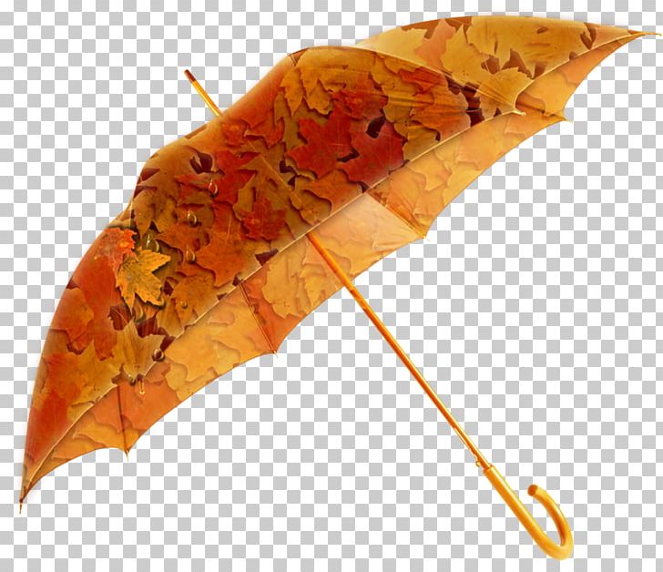 Umbrella Photography PNG, Clipart, Fashion Accessory, Leaf, Objects, Photographic Printing, Photography Free PNG Download