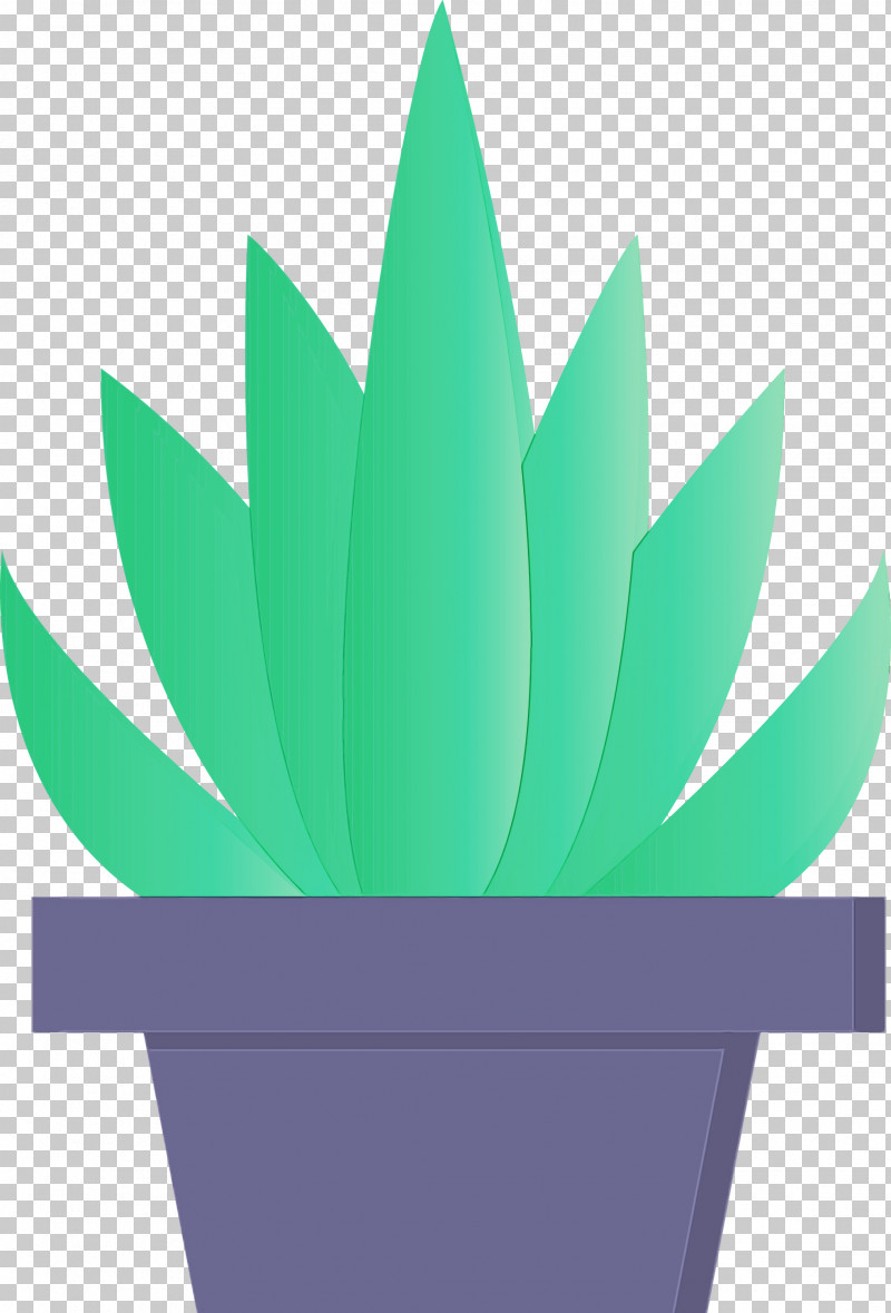 Green Flowerpot Leaf Plant Houseplant PNG, Clipart, Agave, Aquatic Plant, Flower, Flowerpot, Green Free PNG Download