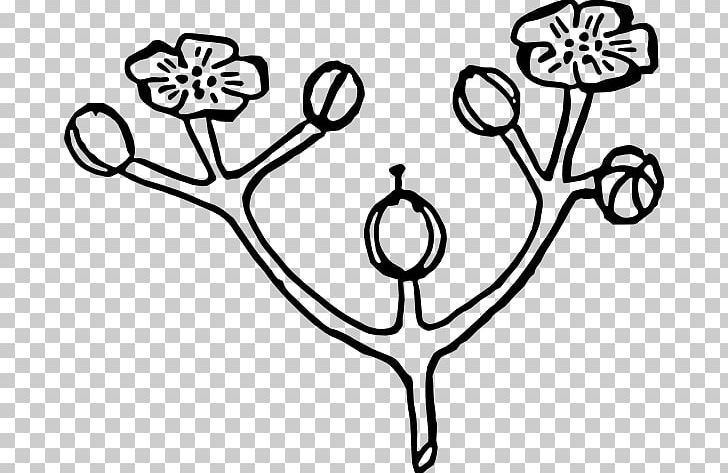 Flower Bouquet Rose PNG, Clipart, Area, Art, Artwork, Black And White, Branch Free PNG Download