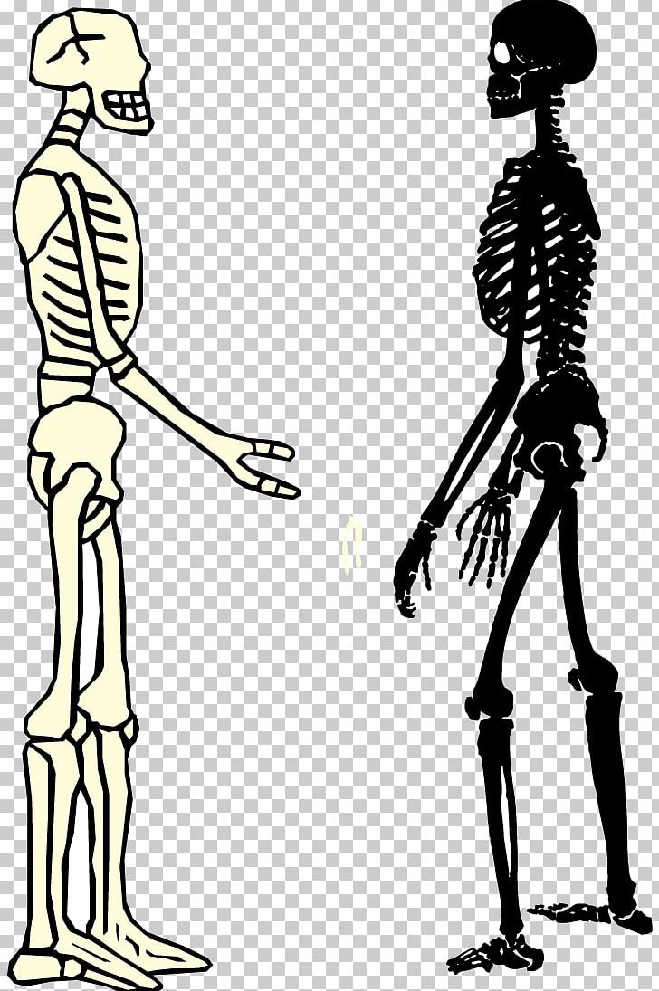 Human Skeleton Homo Sapiens Bone PNG, Clipart, Anatomy, Art, Black And White, Fashion Design, Female Hair Free PNG Download