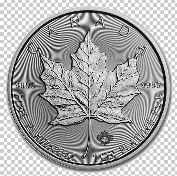 Canadian Gold Maple Leaf Canadian Platinum Maple Leaf Bullion Royal Canadian Mint PNG, Clipart, Black And White, Bullion, Bullion Coin, Canadian, Canadian Dollar Free PNG Download