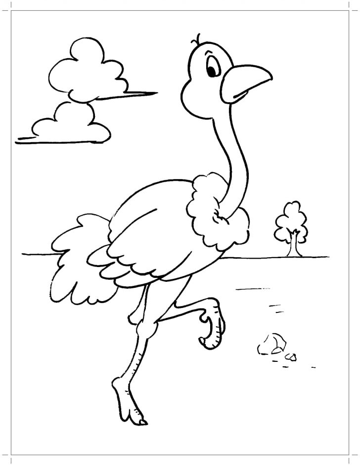 Bird Common Ostrich Coloring Book Parrot Ausmalbild PNG, Clipart, Angle, Animal, Animals, Area, Art Free PNG Download