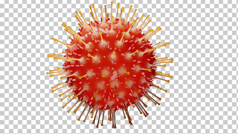 COVID19 Coronavirus Virus PNG, Clipart, Coronavirus, Covid19, Flower, Plant, Pollen Free PNG Download
