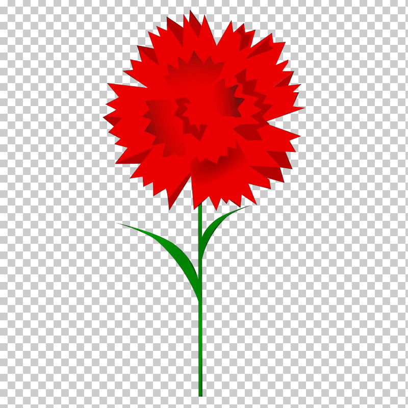 Flower Red Plant Gerbera Cut Flowers PNG, Clipart, Carnation, Cut Flowers, Daisy Family, Dianthus, Flower Free PNG Download