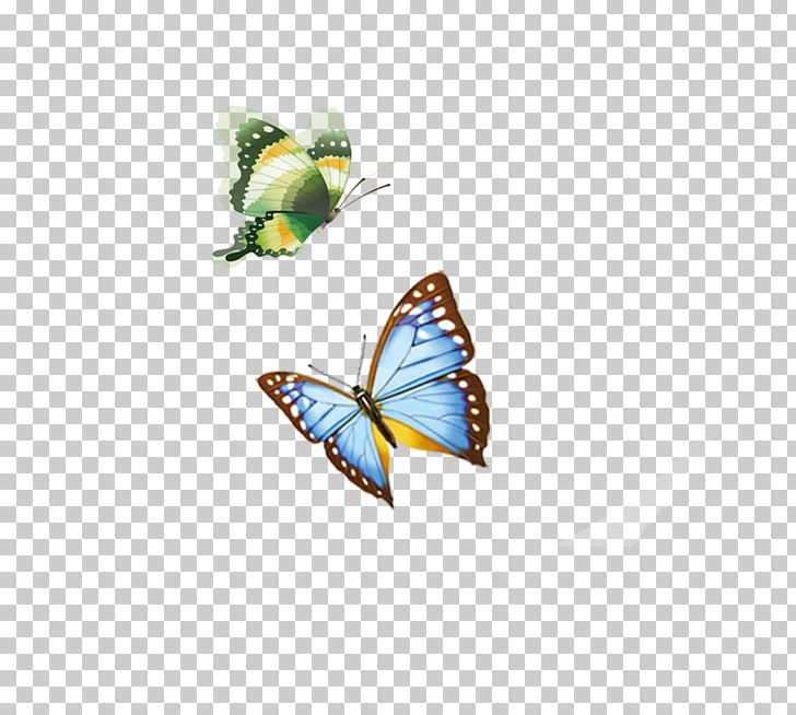 Butterfly PNG, Clipart, Animal, Blue Rose, Brush Footed Butterfly, Butterflies, Butterfly Free PNG Download