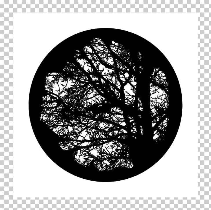 Light Gobo Tree Glass Projector PNG, Clipart, Apollo, Bay Laurel, Black And White, Branch, Develop Free PNG Download