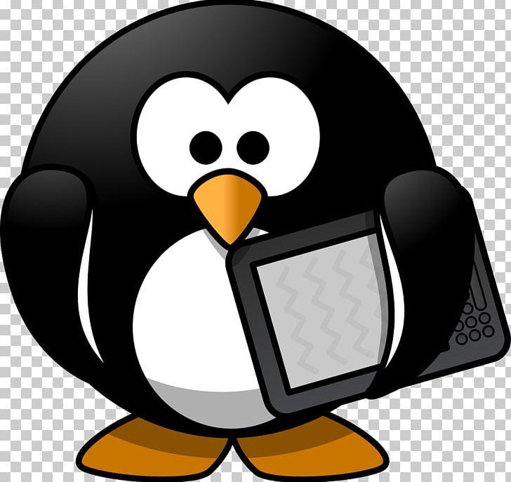 Little Penguin T-shirt PNG, Clipart, Animals, Artwork, Beak, Bird, Download Free PNG Download