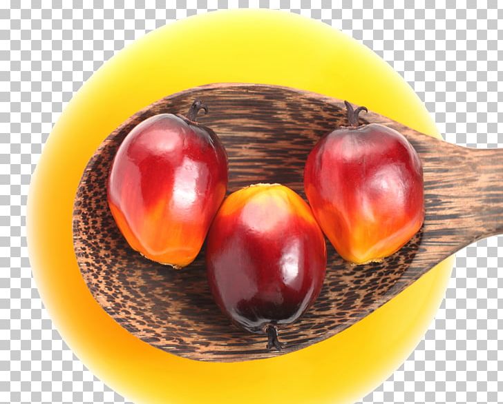 Palm Oil Palm Kernel Oil Petroleum Food PNG, Clipart, Base Oil, Company, Cooking Oil, Cooking Oils, Food Free PNG Download