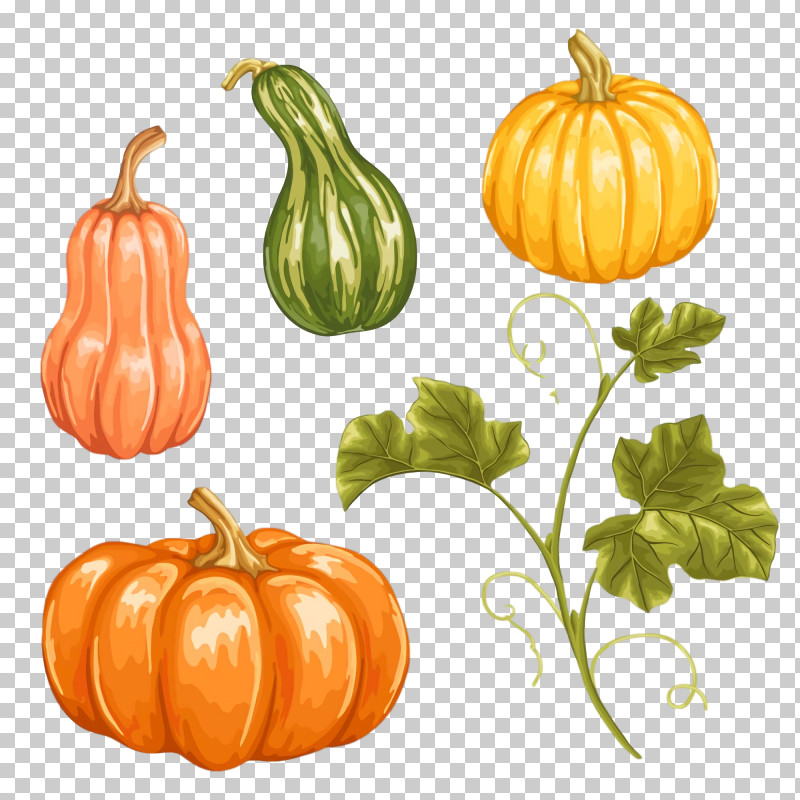 Thanksgiving Autumn Harvest PNG, Clipart, Apostrophe, Autumn, Gourd, Harvest, Hawaiian Language Free PNG Download
