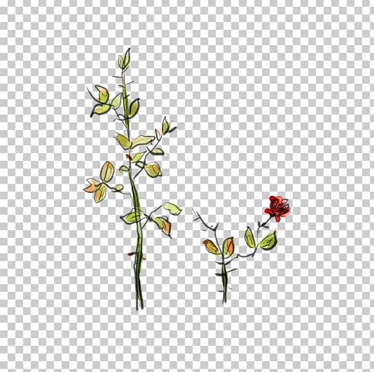 4K Resolution PNG, Clipart, 720p, Android, Aspect Ratio, Blossom, Branch Free PNG Download