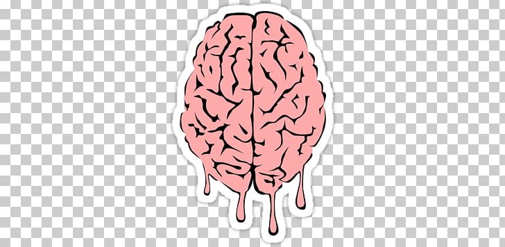 Human Brain PNG, Clipart, Art, Brain, Drawing, Human Body, Human Brain Free PNG Download