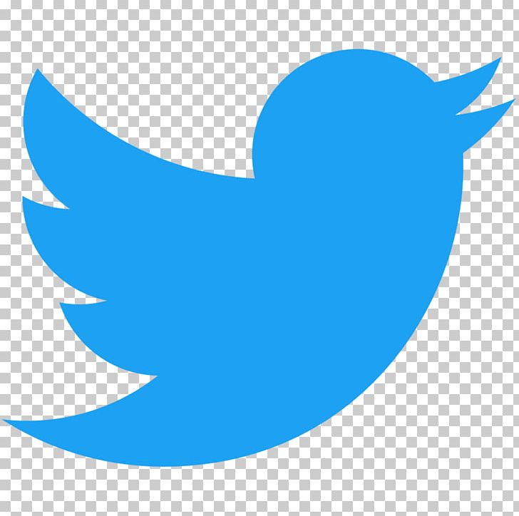 Logo Computer Icons Social Media PNG, Clipart, Azure, Beak, Bird, Blue, Business Free PNG Download