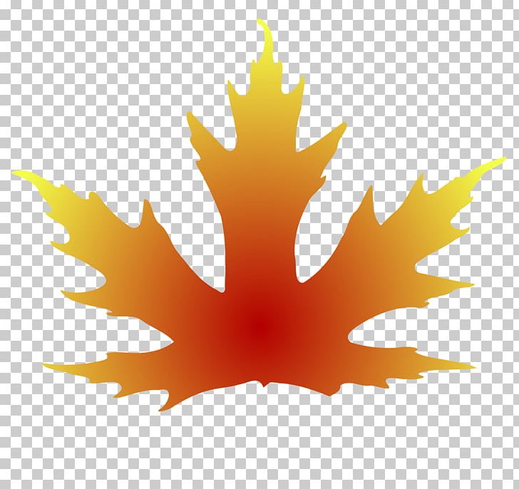 Maple Leaf Autumn Leaf Color PNG, Clipart, Autumn, Autumn Leaf Color, Color, Computer Wallpaper, Flowering Plant Free PNG Download